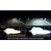 Premium Bi-Xenon HID kit from Genome (55W with Canbus ballast)